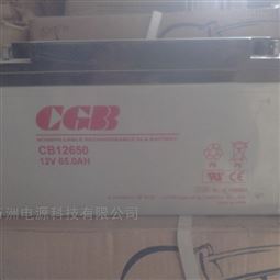 德富力蓄电池NP150-12免维护