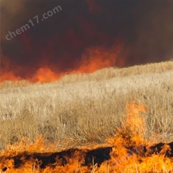 OSEN秸秆焚烧在线监测系统解决方案