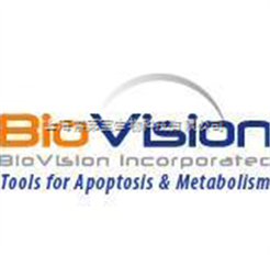 现货|Biovision原装 Leptin, rat recombinant