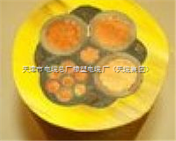 MCPTJ采煤機電纜0.66/1.14-3*70+1*25+4*2.5