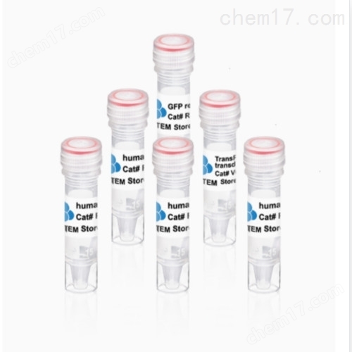 Retrovirus iPSC Reprogramming Kit