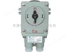 BH58-防爆轉換開關價格，BH58-防爆轉換開關生產(chǎn)廠家